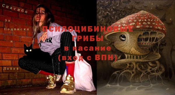экстази Няндома