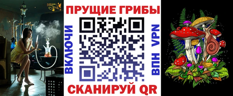 Псилоцибиновые грибы Psilocybine cubensis  где продают   Починок 